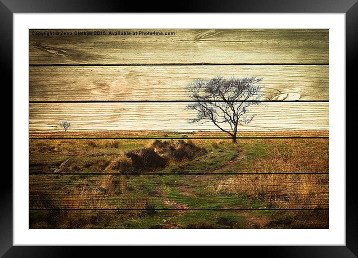  The Wooden Tree Framed Mounted Print by Zena Clothier