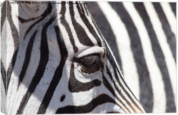 Zebra eye Canvas Print by Mark Roper