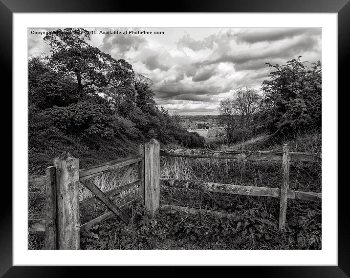  View from a Fence Framed Mounted Print by Iain Mavin
