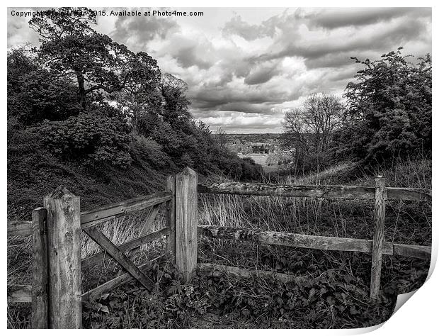  View from a Fence Print by Iain Mavin