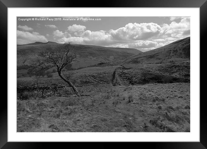  Dry Stone Wall Framed Mounted Print by Richard Parry