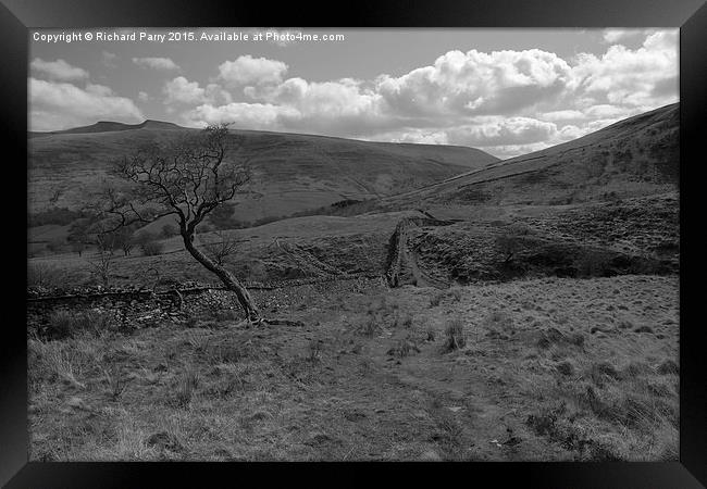  Dry Stone Wall Framed Print by Richard Parry