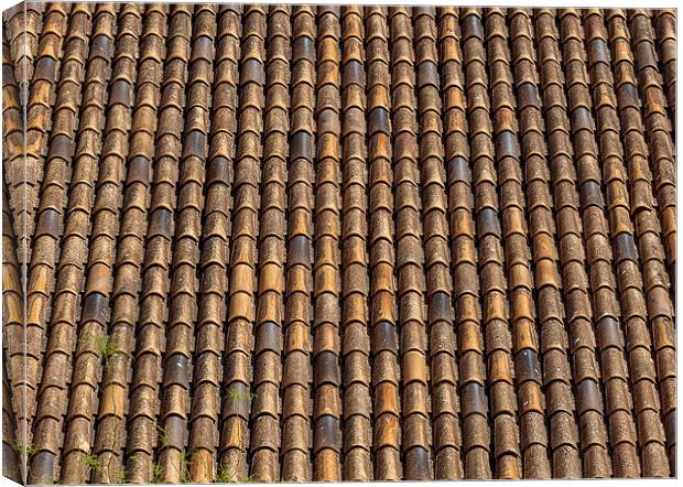  Spanish terracotta roof tiles Canvas Print by Leighton Collins