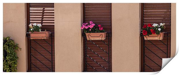  Spanish window boxes Print by Leighton Collins
