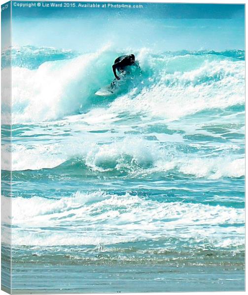  Surfing fun Canvas Print by Liz Ward