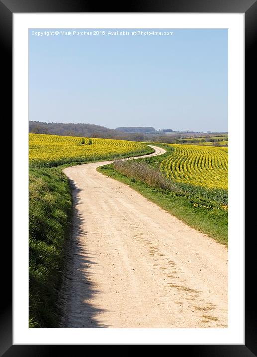 Winding Road Track Through Yellow Rape Seed Fields Framed Mounted Print by Mark Purches