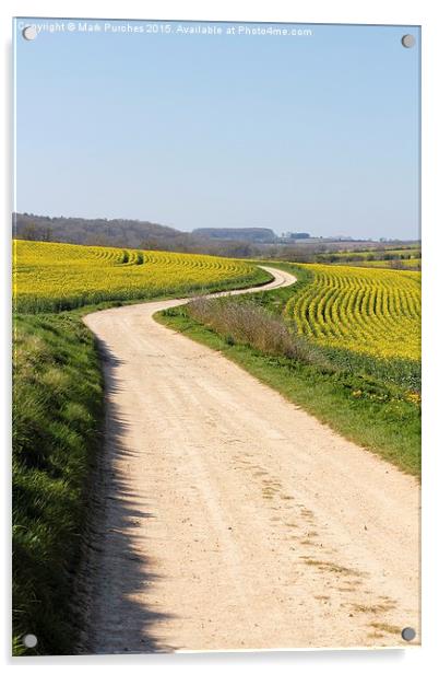 Winding Road Track Through Yellow Rape Seed Fields Acrylic by Mark Purches