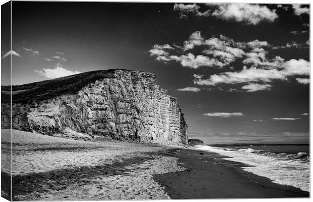  East Cliff in monochrome.  Canvas Print by Mark Godden