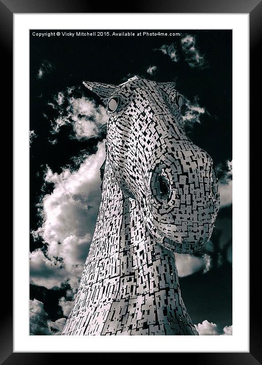  Kelpie Framed Mounted Print by Vicky Mitchell
