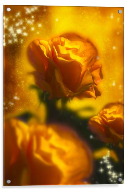  Golden Roses Acrylic by Svetlana Sewell