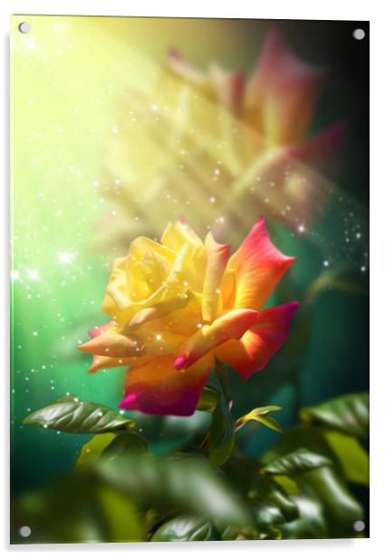  Juicy Rose Acrylic by Svetlana Sewell