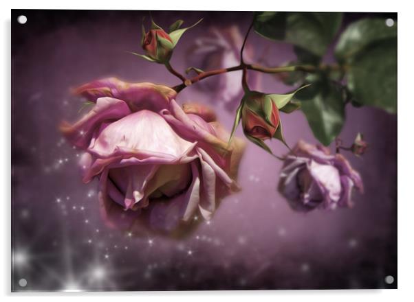  Dusky Pink Roses Acrylic by Svetlana Sewell