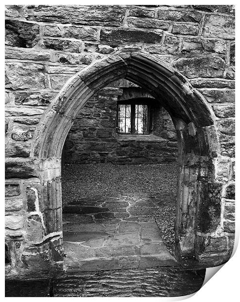 Donegal Castle Door Print by Larry Pegram