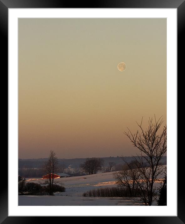 Winter Moon Framed Mounted Print by Larry Pegram