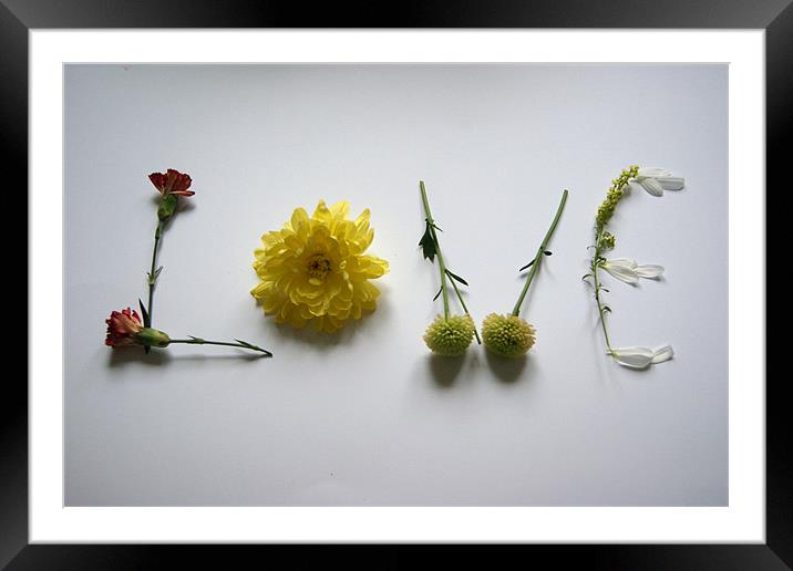 Say it with flowers ! Framed Mounted Print by Pete Holloway
