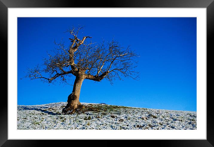 Blue Sky Framed Mounted Print by Mark Robson