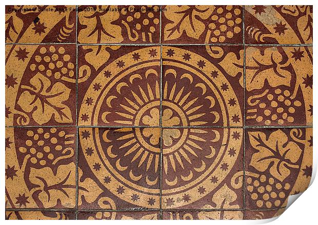  Floor Tiles Print by Carole-Anne Fooks
