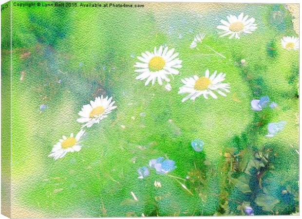 Forget Me Not and Daisies  Canvas Print by Lynn Bolt