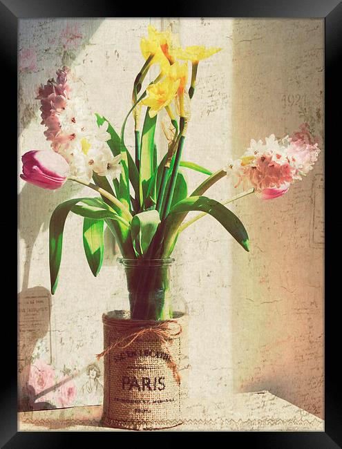  Spring Has Sprung.. Framed Print by Rosanna Zavanaiu