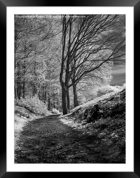  The path. Framed Mounted Print by Mark Aynsley