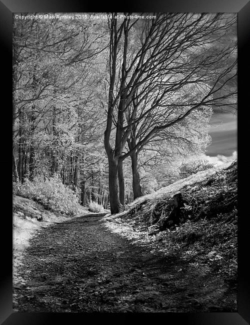  The path. Framed Print by Mark Aynsley