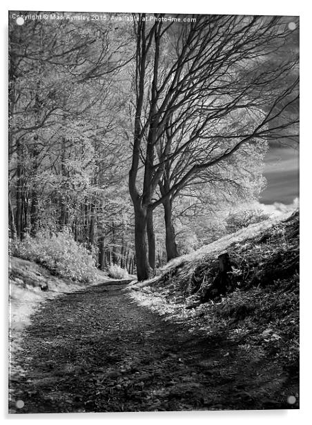  The path. Acrylic by Mark Aynsley