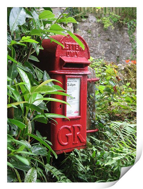 Red Letterbox Print by Alexia Miles