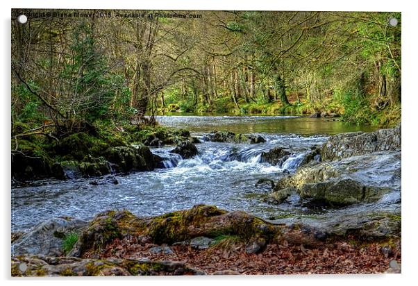  River Llugwy Betws-y-Coed  Acrylic by Diana Mower
