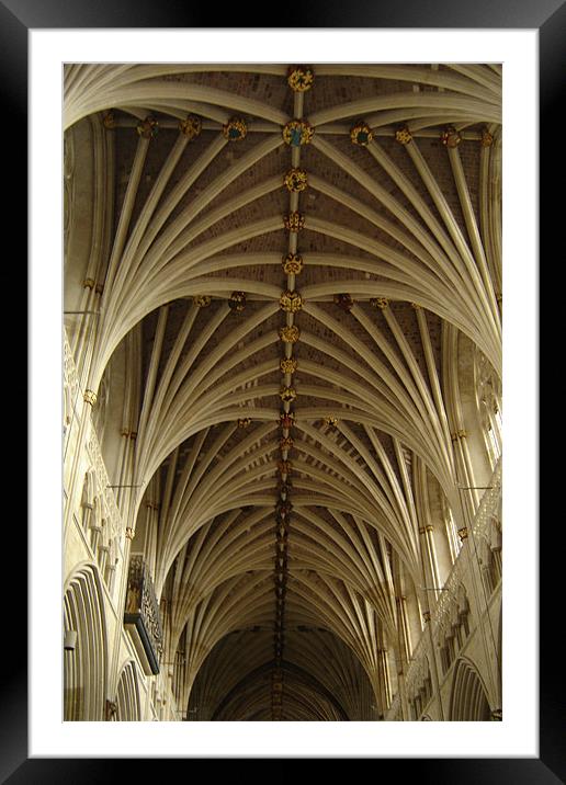Gothic ceiling Framed Mounted Print by Alexia Miles