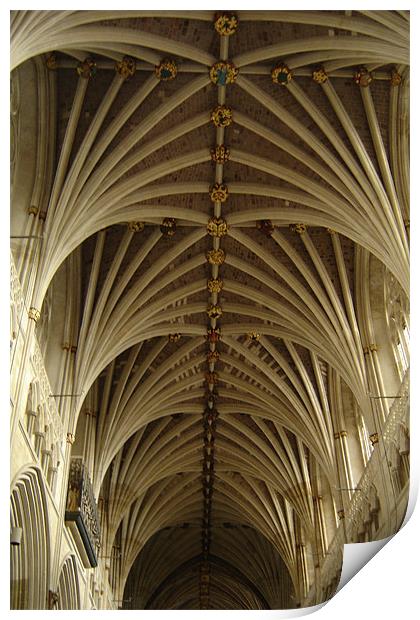 Gothic ceiling Print by Alexia Miles