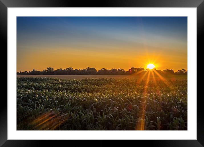 Norfolk Sunset, Norfolk, England, UK Framed Mounted Print by Mark Llewellyn