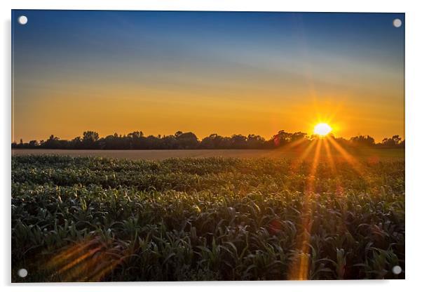 Norfolk Sunset, Norfolk, England, UK Acrylic by Mark Llewellyn