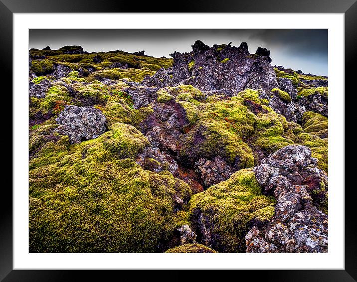 Lichen Outlook, Iceland Framed Mounted Print by Mark Llewellyn