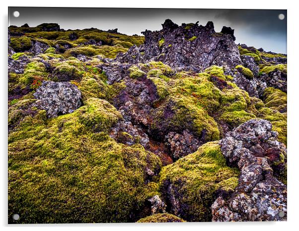 Lichen Outlook, Iceland Acrylic by Mark Llewellyn