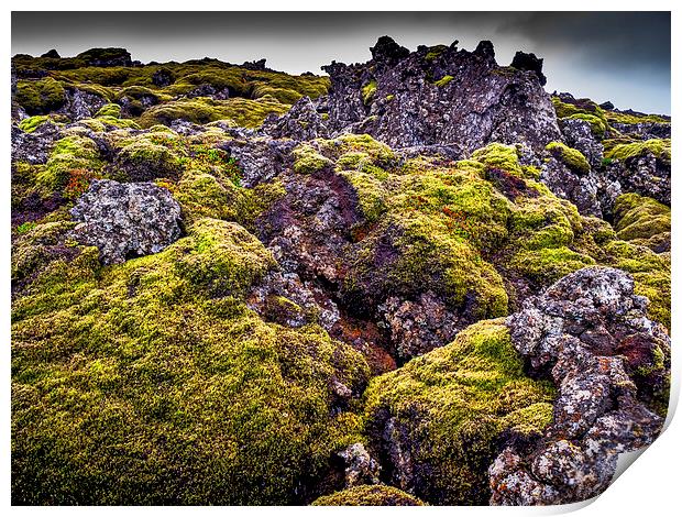 Lichen Outlook, Iceland Print by Mark Llewellyn