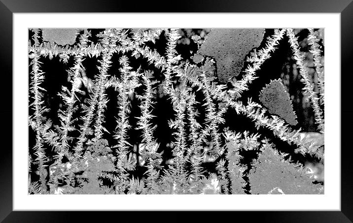 Frost Strings Framed Mounted Print by Hristo Assadourian