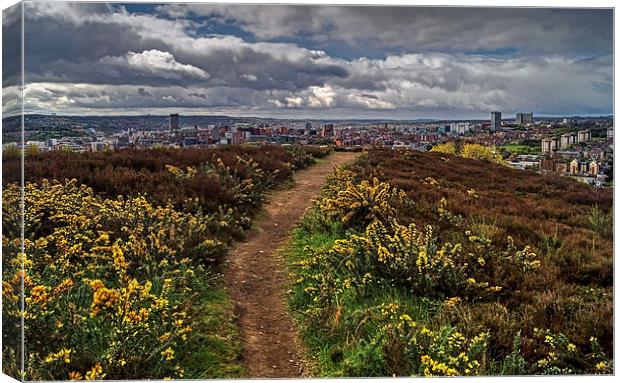 Parkwood Springs View over Sheffield  Canvas Print by Darren Galpin