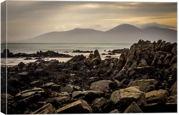 Mourne Mountains View St John's Point N.Ireland Canvas Print by Chris Curry