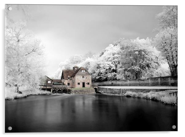  Mapledurham Mill Acrylic by Tony Bates