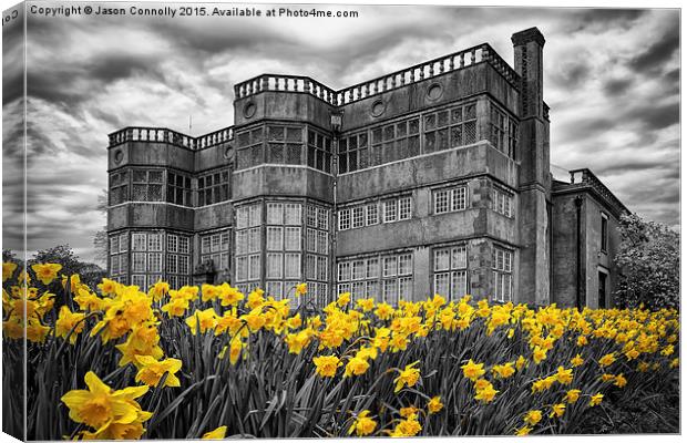  Astley Hall Daffodils Canvas Print by Jason Connolly