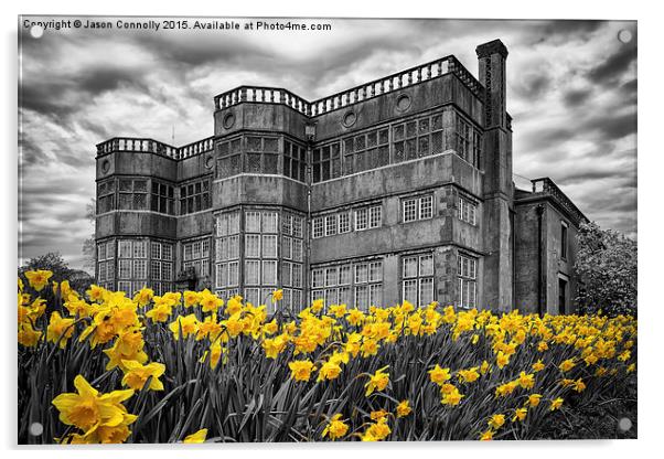  Astley Hall Daffodils Acrylic by Jason Connolly