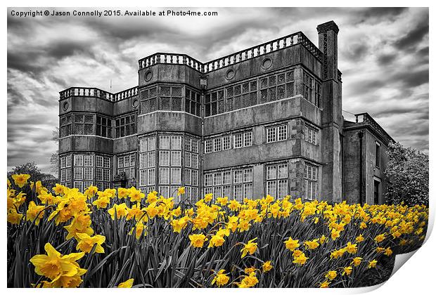  Astley Hall Daffodils Print by Jason Connolly