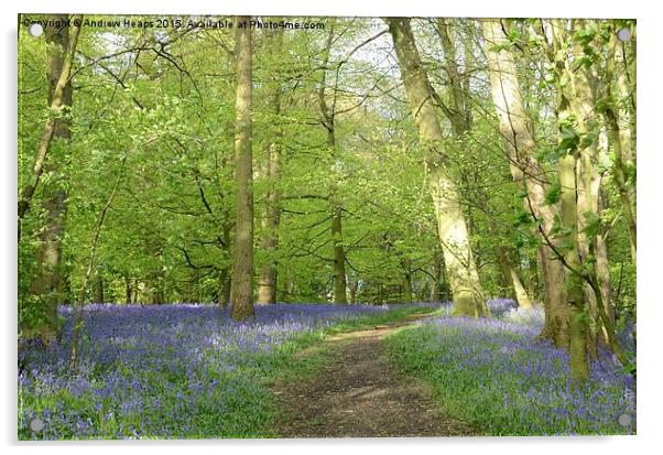  Blue bells of spring enchanted Forest. Acrylic by Andrew Heaps