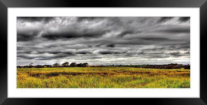  Barley Field. Framed Mounted Print by Jim Moran