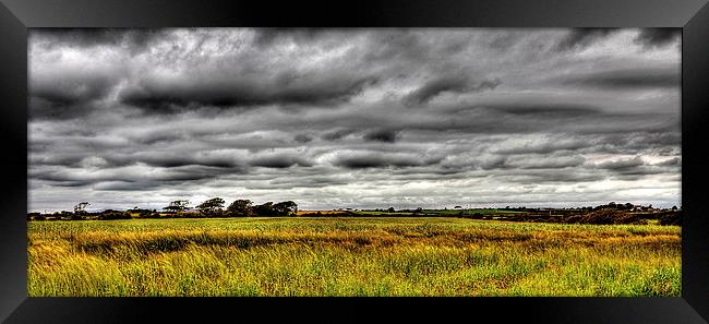  Barley Field. Framed Print by Jim Moran