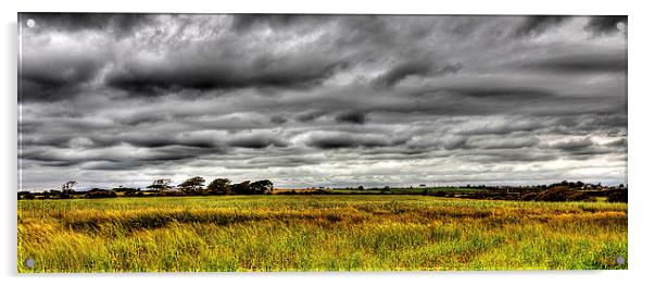  Barley Field. Acrylic by Jim Moran