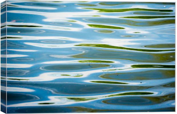  abstract ripples Canvas Print by Brent Olson