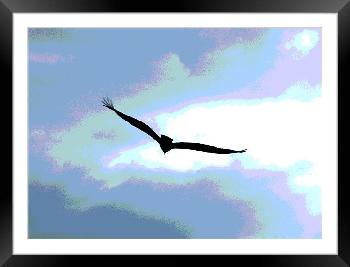 Flight Framed Mounted Print by james balzano, jr.