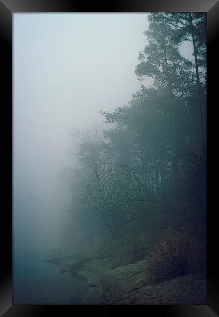Fog on the river Framed Print by Piotr Tyminski