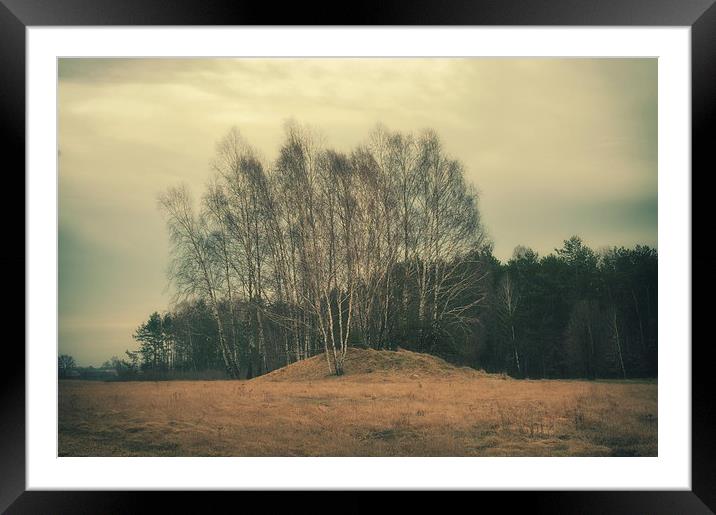 Traces of history Framed Mounted Print by Piotr Tyminski